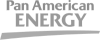 pan-american-energy.png